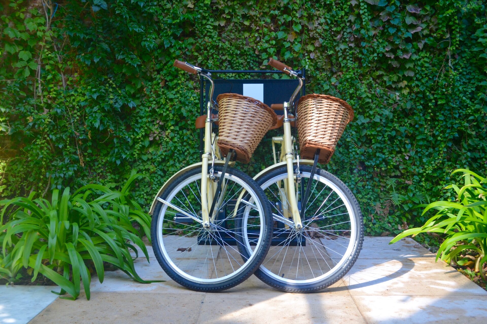 Palo Santo Guest Bikes