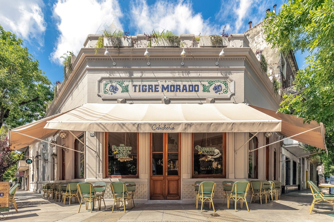 1tigre-morado