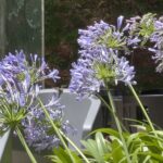 Palo Santo Green Hotel Buenos Aires