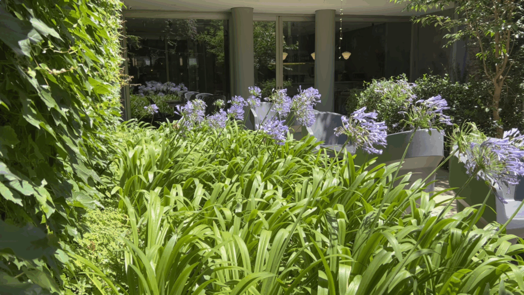 green hotel garden