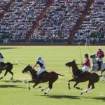 Abierto de Polo de Palermo - Noviembre 2025