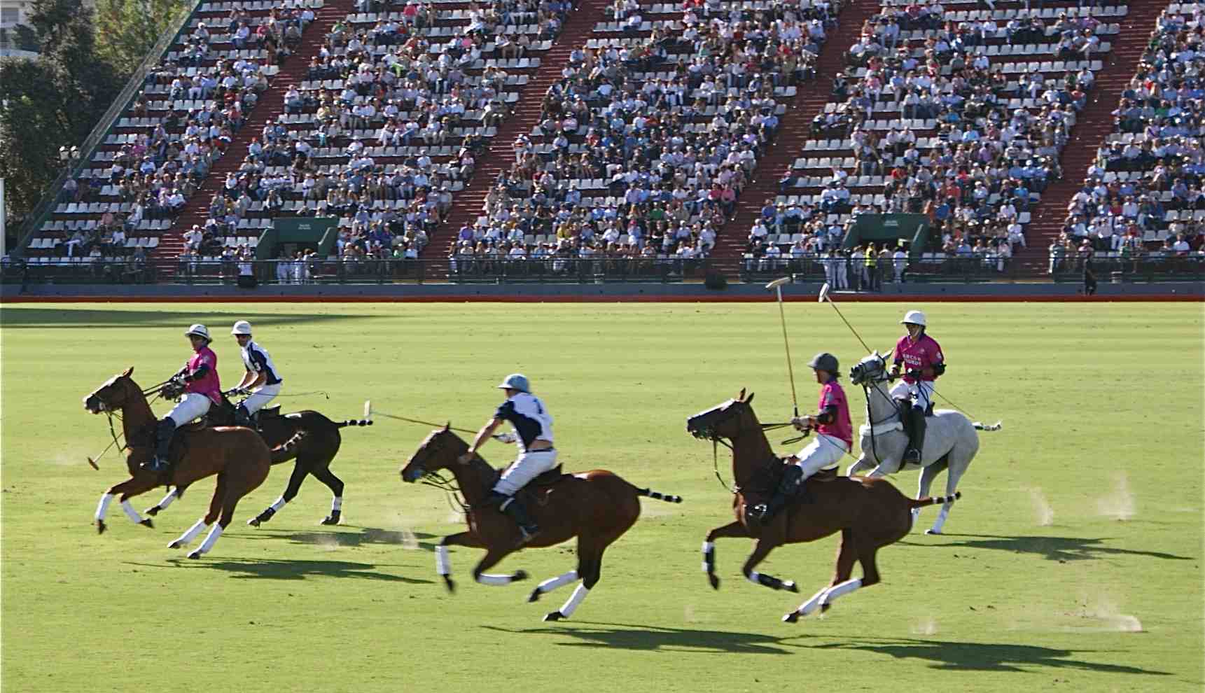 Abierto de Polo de Palermo - Noviembre 2025
